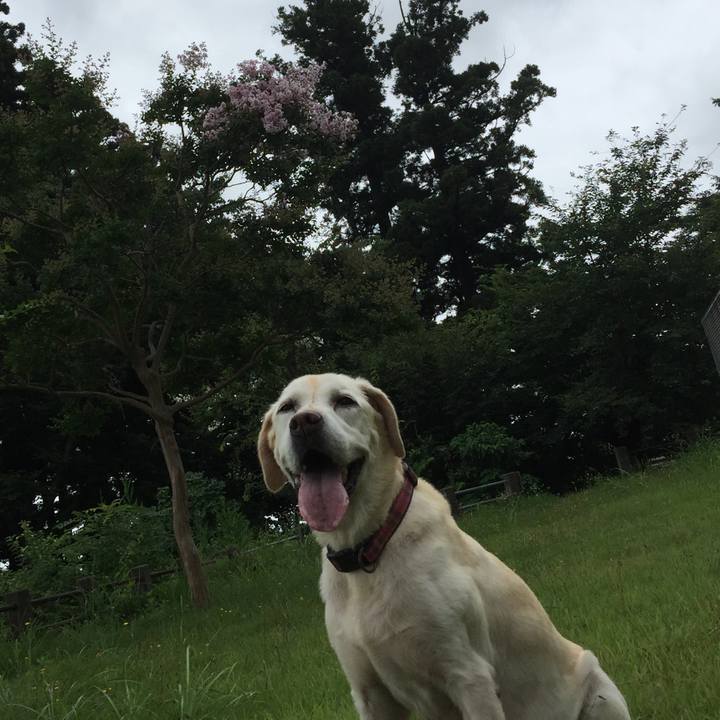 Bb04124d f812 499f a978 2c0c89e4467f