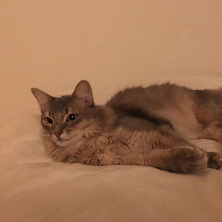 Bb049e35 e6d3 4dae b837 7153ff64dd4b