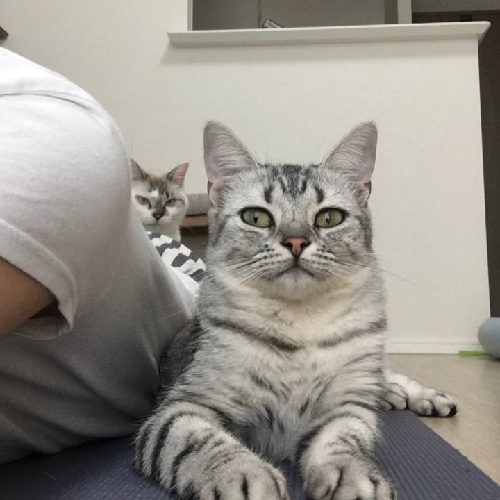 Bb04cd16 d8a4 4429 9376 f46dbe86734b