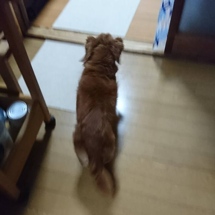 Bb056560 ee85 45f1 b701 e66b6ee6b371