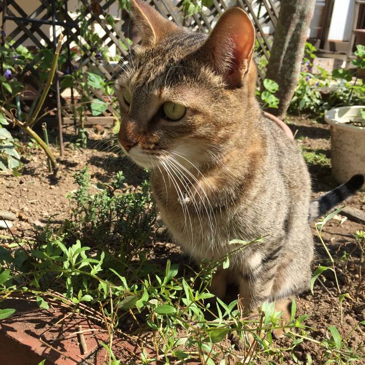 Bb06c05f 0325 41d3 8b7a 47a918cefb42