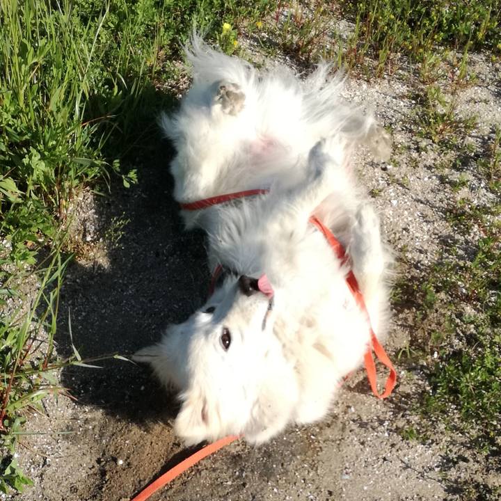 Bb076c99 6611 45f9 b857 8279ddc04cd2