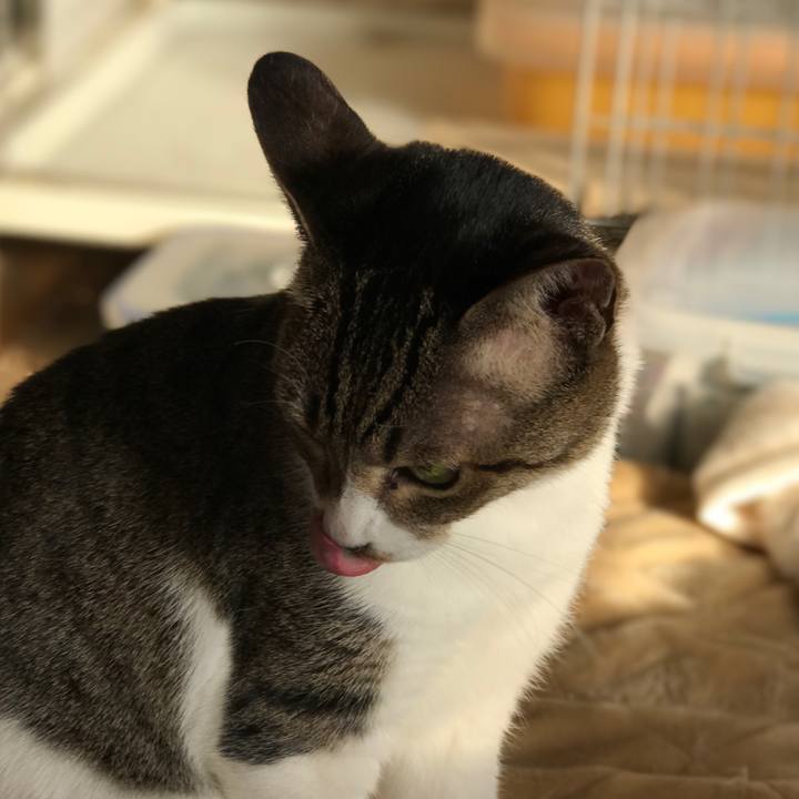 Bb0770de 0052 478b 85fa 0ad190064fd8