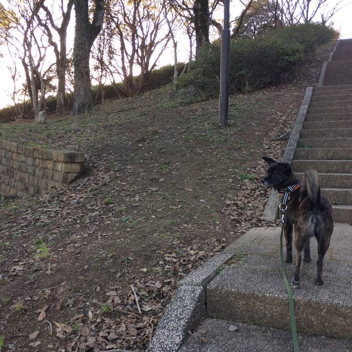 Bb078fe3 160d 46c8 9ff9 2bf732417bff