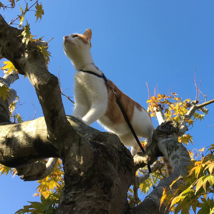 Bb088818 7a4a 430b b4d8 0b36497bd77a