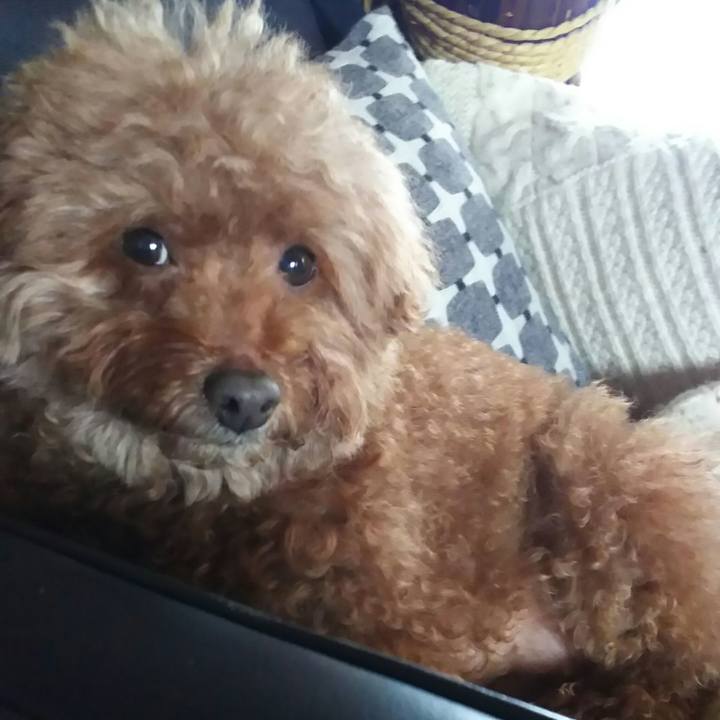 Bb093c32 6de6 4e6d a536 311067f8468b