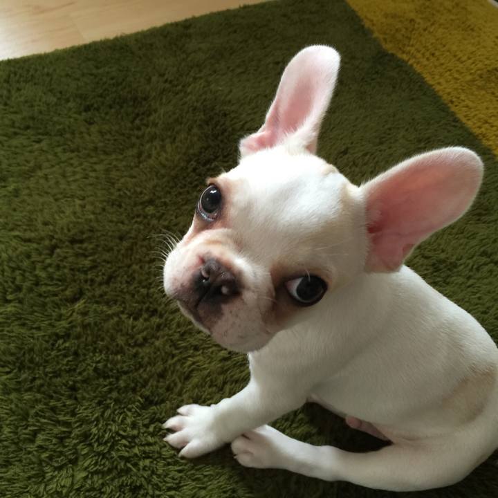 Bb096b90 4aab 42dc 8d79 b5ad34f57a6a