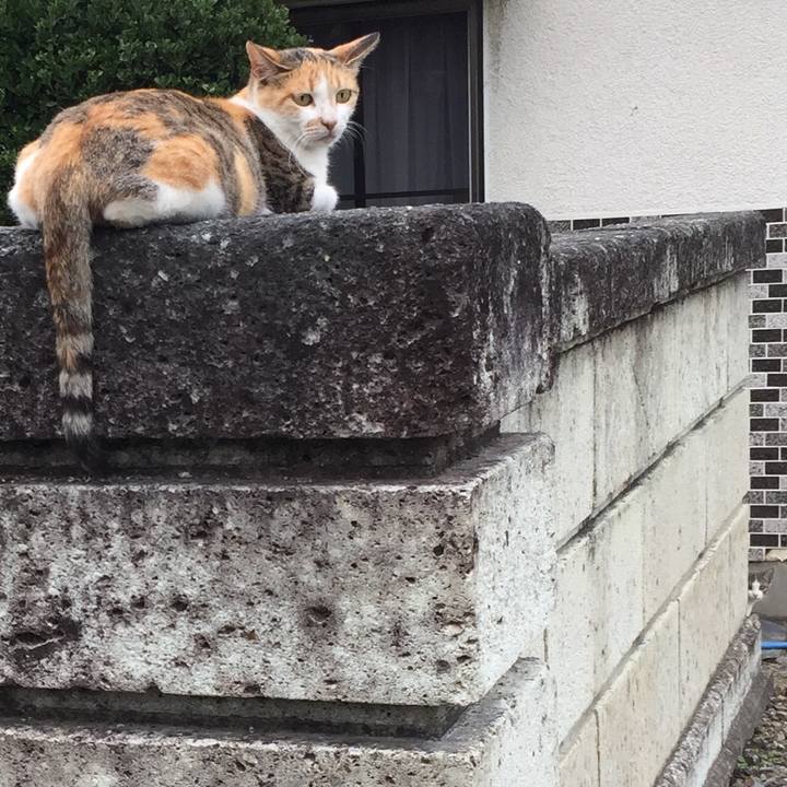 Bb09bd2e 333a 44fa 9598 6343f9abd61c