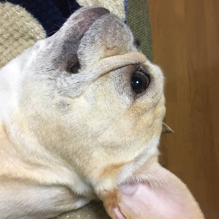 Bb0a245f c44b 415d b9c9 8e2185f686e7