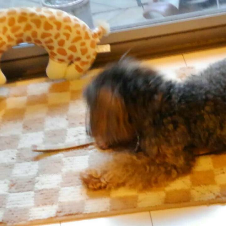 Bb0a3313 37d8 4d82 b8b9 e0e823b2688b