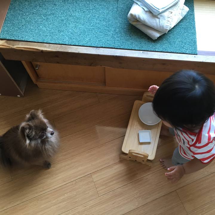 Bb0a8804 0f8c 46f4 a4a0 1ee899406e24