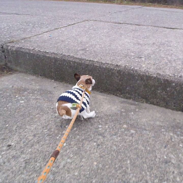 Bb0b157e 413a 40eb 9ac2 de66923e8619