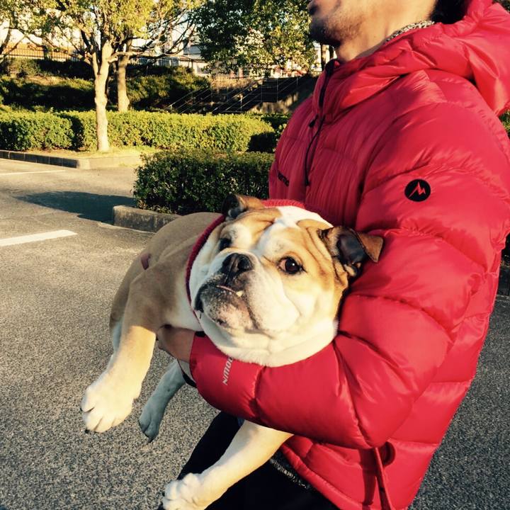 Bb0c1f46 eeeb 4150 8039 8133b0eccdf0