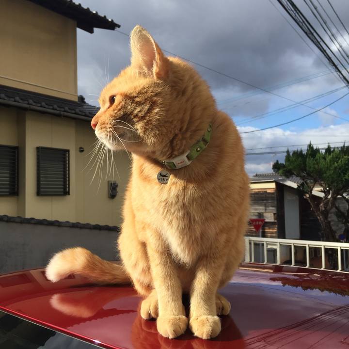 Bb0ca1a2 33e2 4d5f b7c9 30ae54a8b411