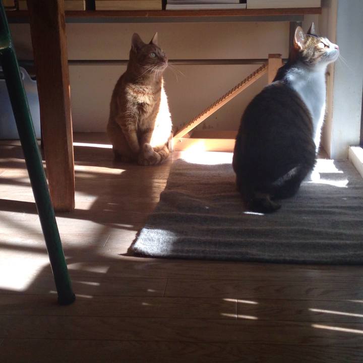 Bb0ce100 4015 428c 9e48 62d52e527bfc