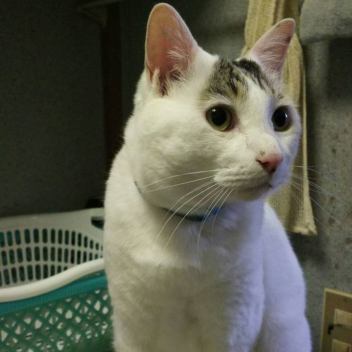 Bb0ce83a c04e 4cec ae3a c0bacafd2624