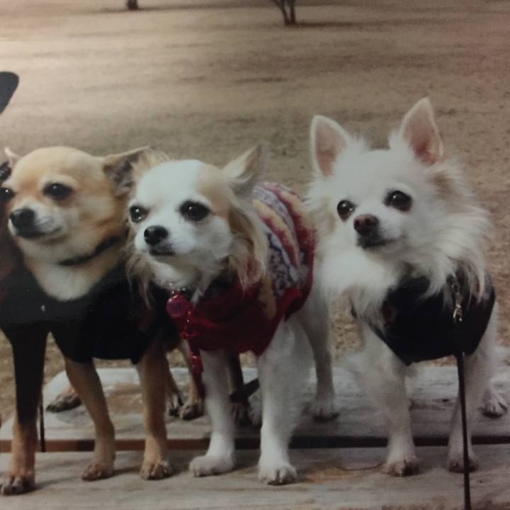 Bb0ce984 21ee 4807 95e4 cf99e2ff5538