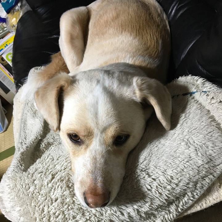 Bb0d3967 641c 4f49 a243 a798f9c52905