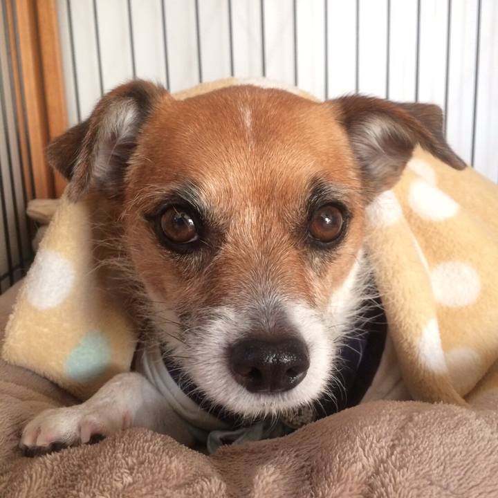 Bb0d63a4 908d 471a 941d 6994f04881d2