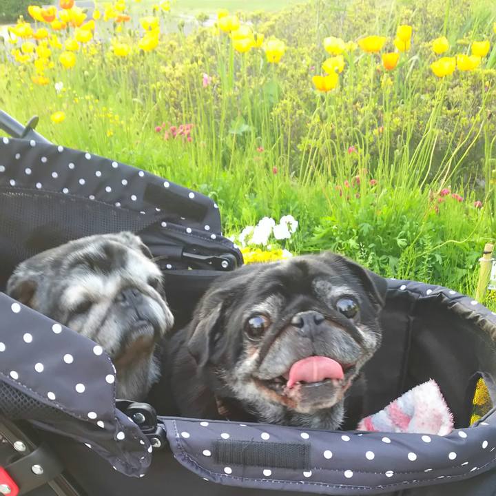 Bb0d6f4b 9bd9 45ad bb70 d9becf927c98