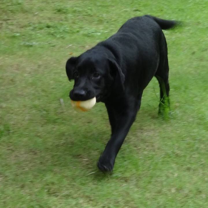 Bb0dd6ac a4a2 4bad ba38 e354d9143bbe