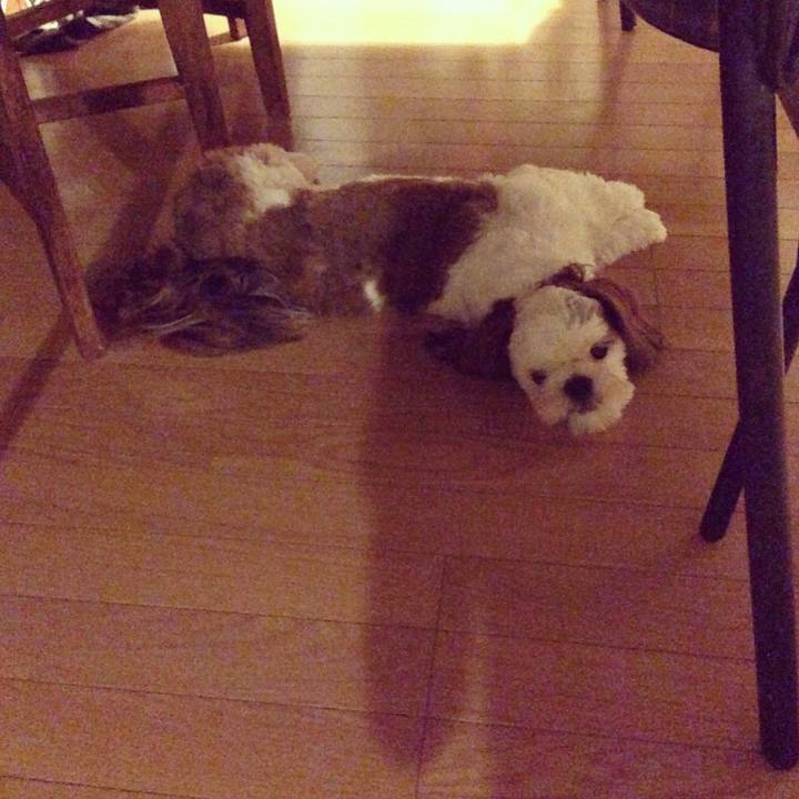 Bb0ddc23 f5f6 4d01 a0c4 ad82766dc9ce