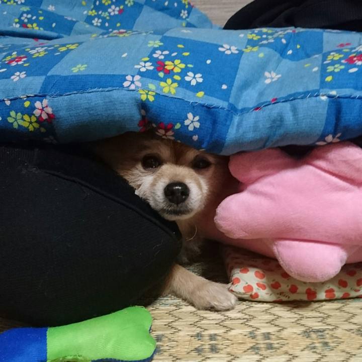 Bb0e157f 082c 4879 a73f b39fed48b6bd