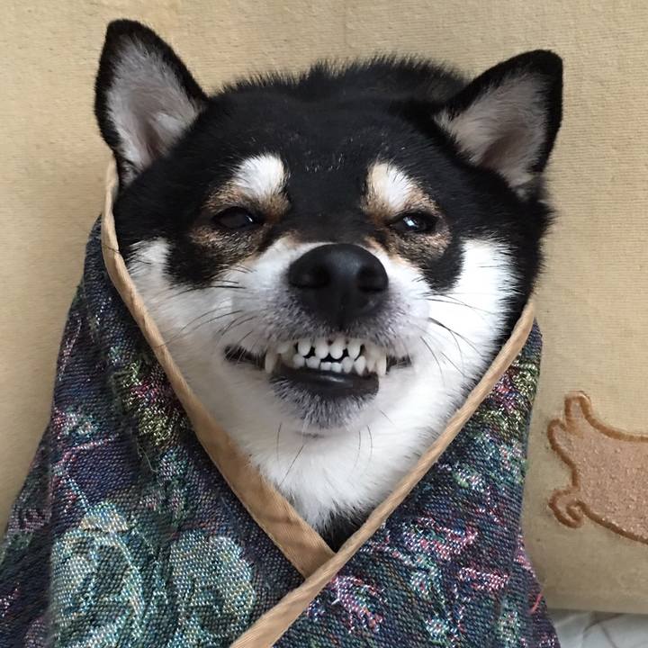 Bb0e2900 8967 441d 8a1b 7395266b9524