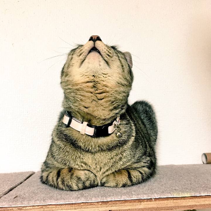 Bb0e389c 7040 48be aa3b 26178a71f910