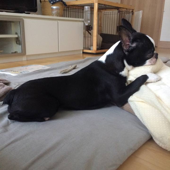 Bb0e8e78 c25f 4fd7 9d5d 35f028f895f3