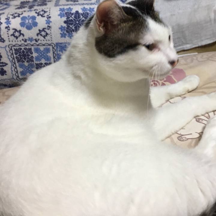 Bb0f2c8a 1364 4693 98d3 74318b80e71a