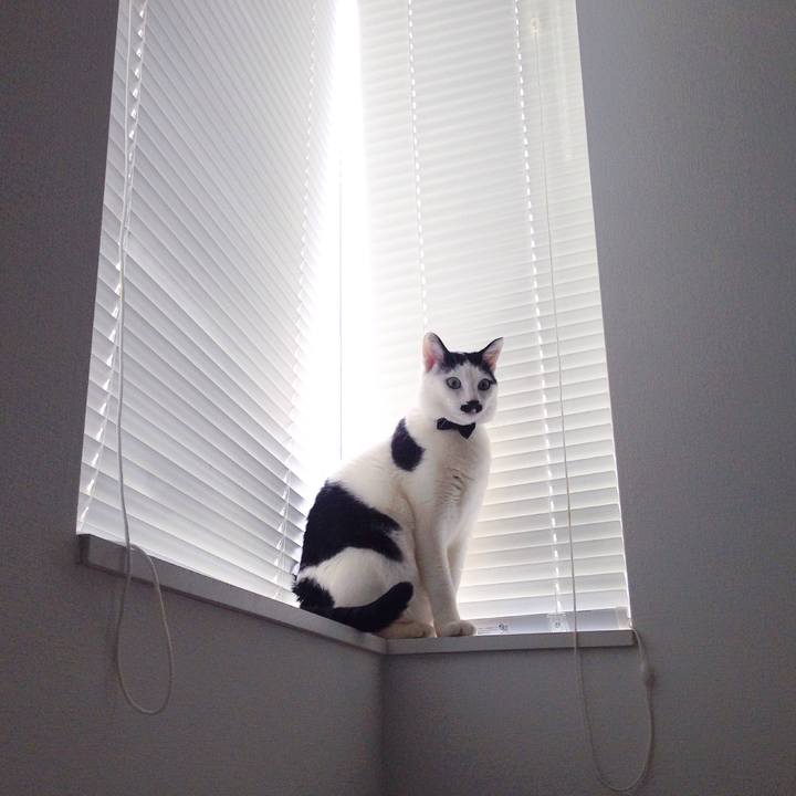 Bb0f9ff3 af0a 45ba 9174 2bb4360631af