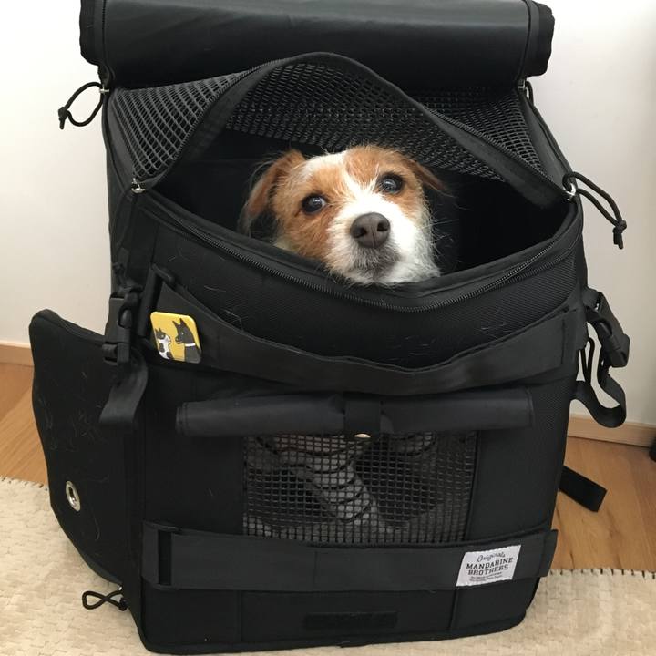 Bb10b85b 085d 48bd ab27 06f00eaa178d