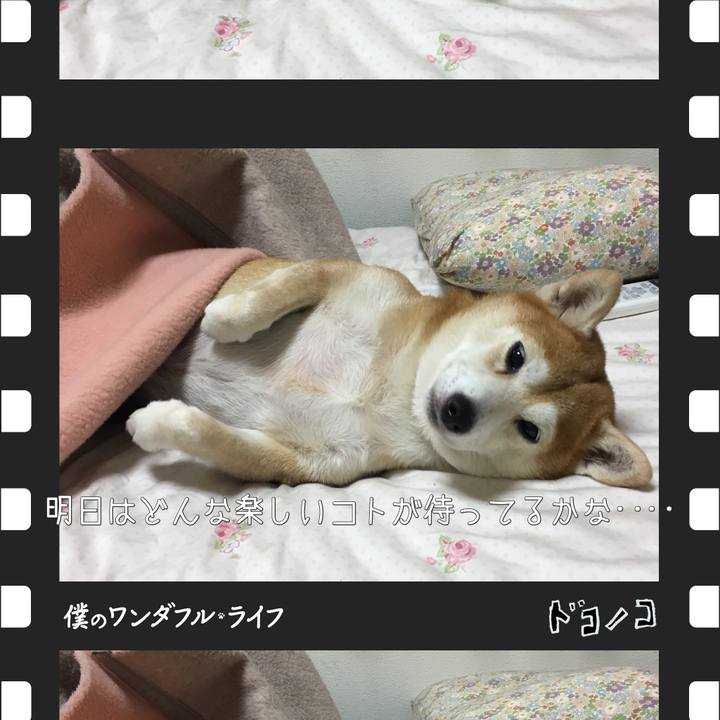 Bb11016b 92dc 42d6 948f fe9ce10b2434