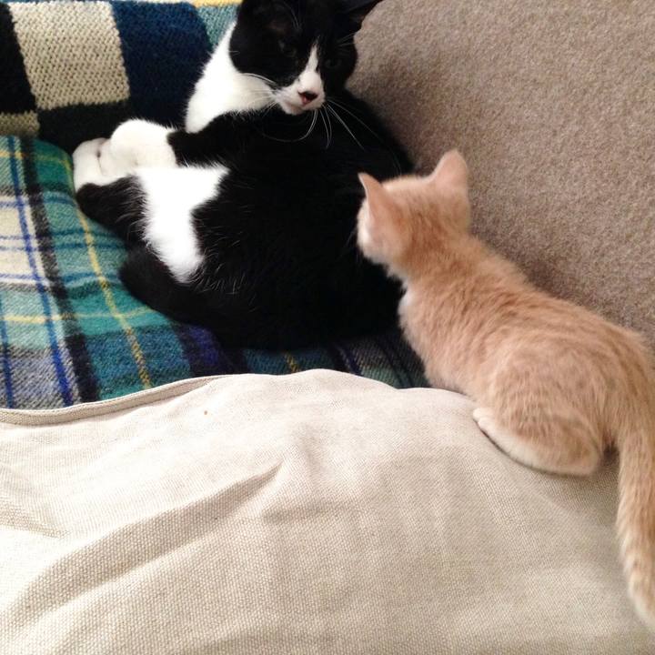 Bb114ca7 48d7 418e a92e 17797487a54d