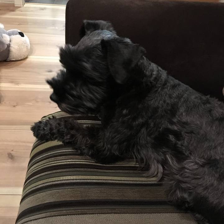 Bb11aa6d 88ce 4164 b5ab 0716ce0cee53