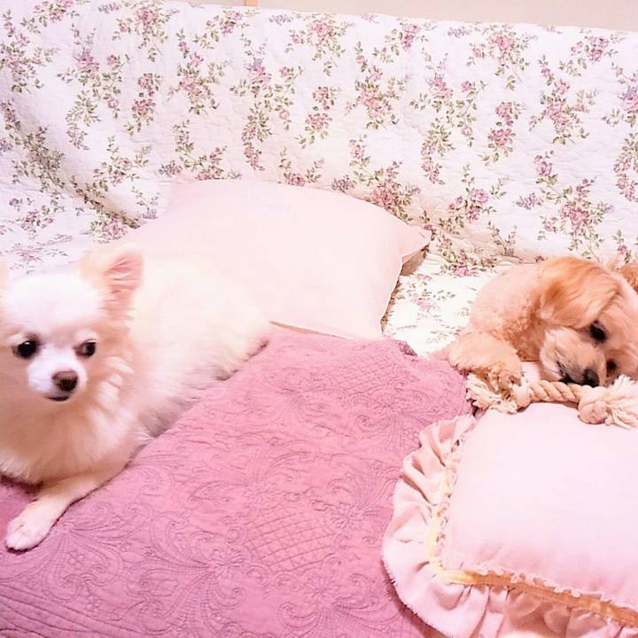 Bb11f120 e0ac 423c a089 45e5bd953ff7