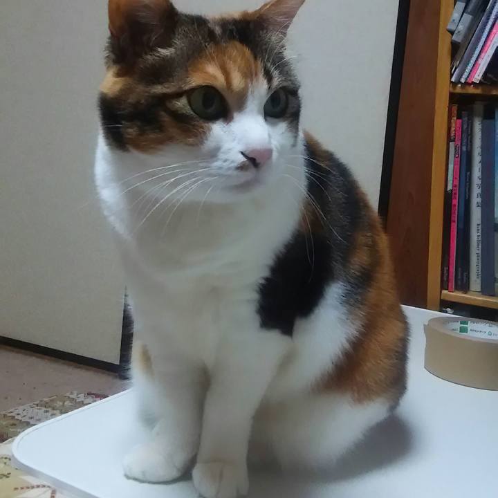 Bb128ae5 554d 4b20 97e3 9fade440bcd8