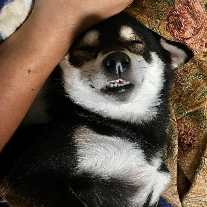 Bb148e1b 821e 48c4 9777 3d3443b5aef8