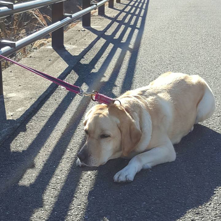 Bb14af74 b76b 4853 ba6a dca1952dd8c0