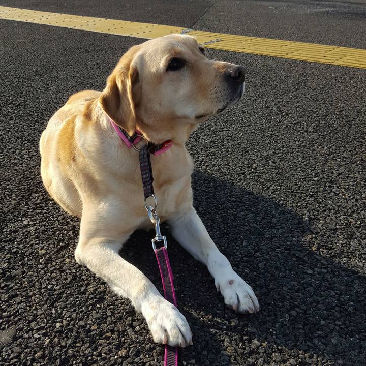 Bb152ae1 7349 42cb 950f 9b803680bd92