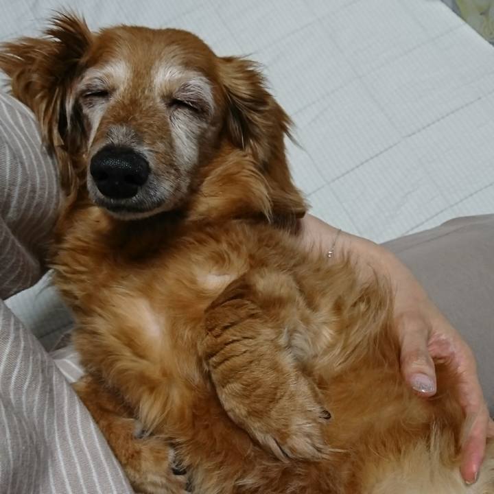 Bb152ff0 31fe 427d 972b 34614aad798d