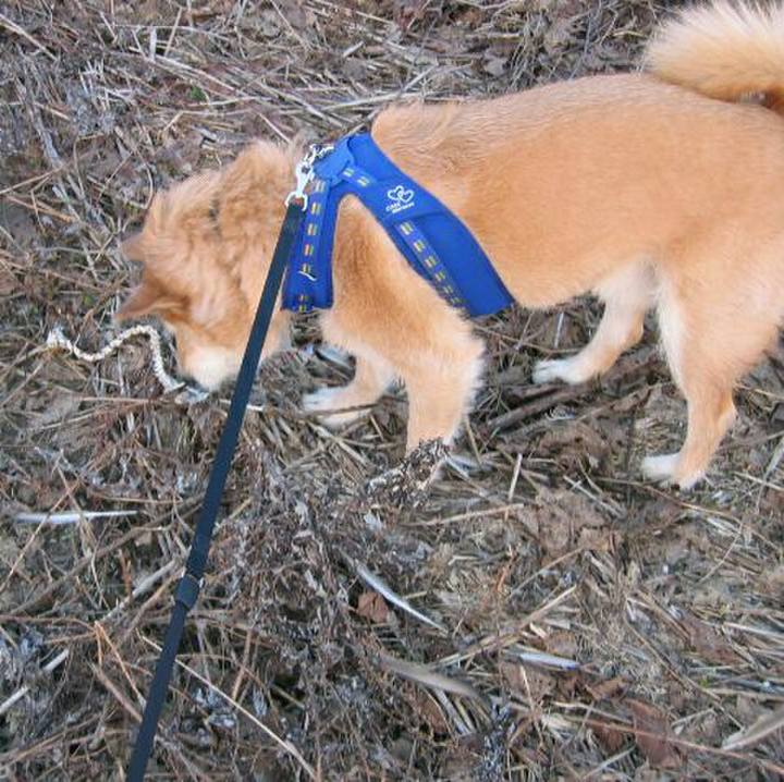 Bb153a1e c547 42d1 802a f517fc823404