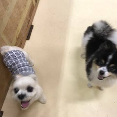 Bb15961a 39cb 447a bf98 f947daccf6d0