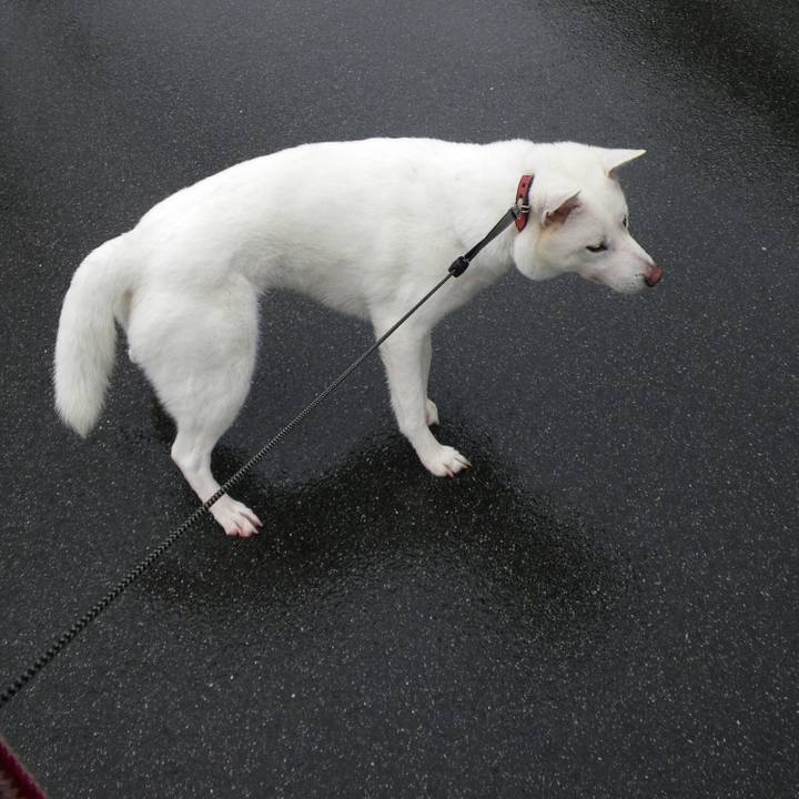 Bb15ea40 a37e 46d4 b0e5 3dab28179e4f