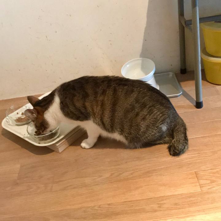 Bb160094 b05d 4556 b2c3 8dc0cc4465f2