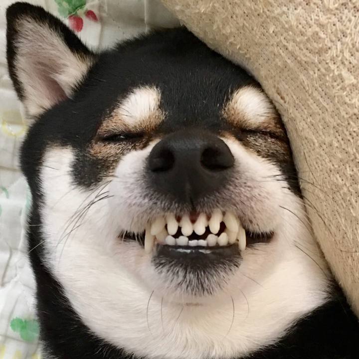 Bb1641fe 3340 41b1 ad7a 6a05581f6559