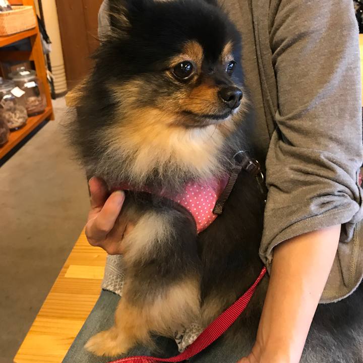 Bb16c09f 66ad 458c a622 01746d7ed141