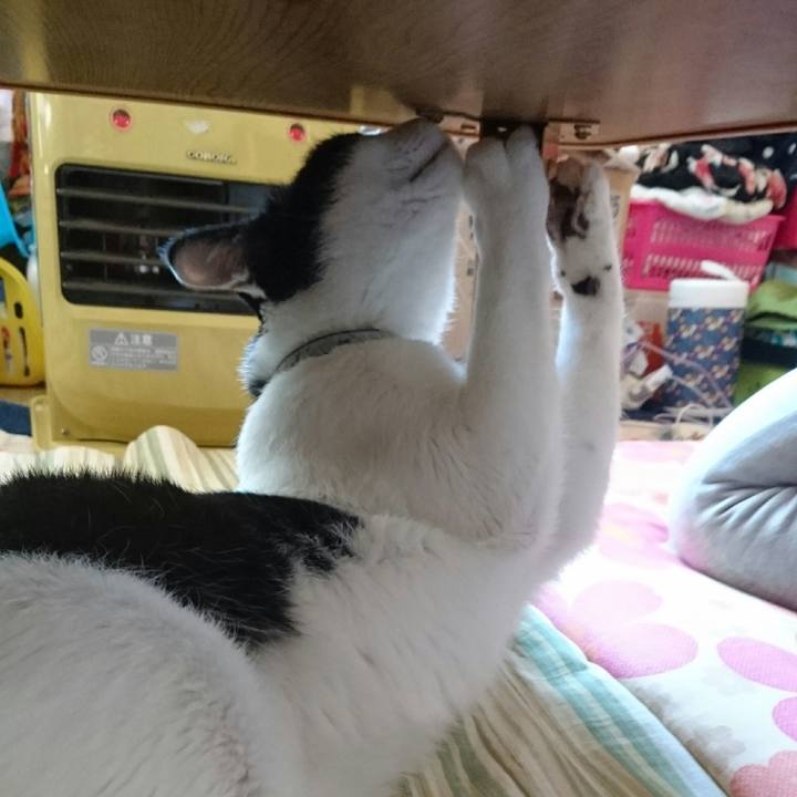 Bb17a258 4fd1 4f41 be68 d8688f7f2329