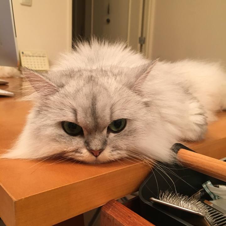 Bb1801b9 f061 4a89 81b6 caa5c22b80ee